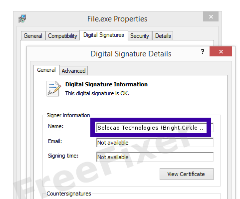 Screenshot of the Selecao Technologies (Bright Circle Investments Ltd) certificate